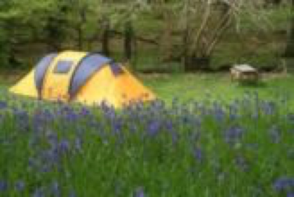 Misty Mountain Camp Resort Greenwood Va Campgrounds