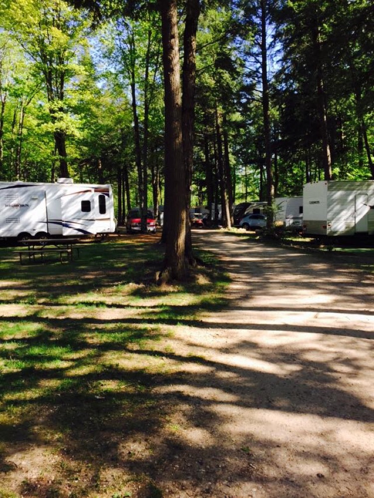 Swingers in pine grove wisconsin