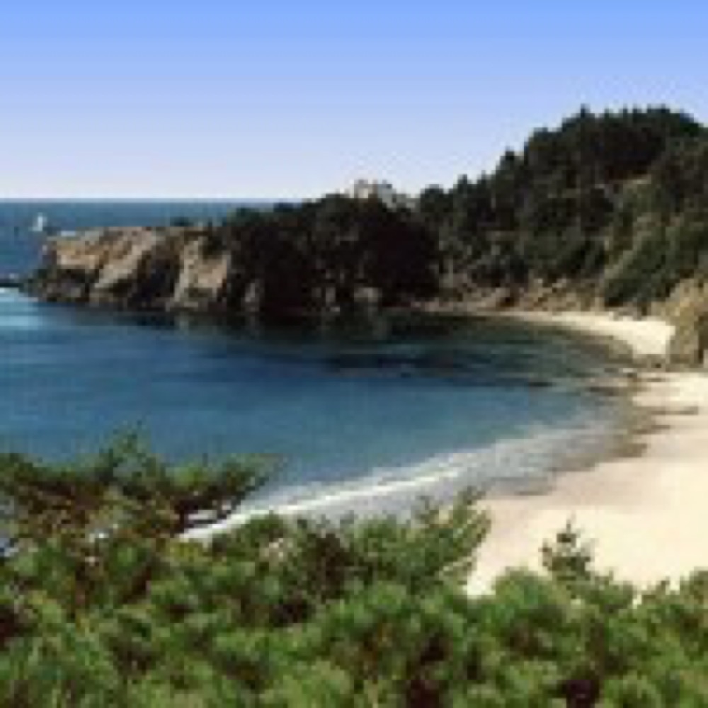 Anchor Bay Campgrounds Gualala Ca Campgrounds