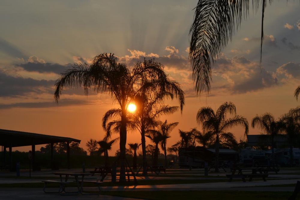 Cajun Palms Rv Resort Breaux Bridge La Campgrounds
