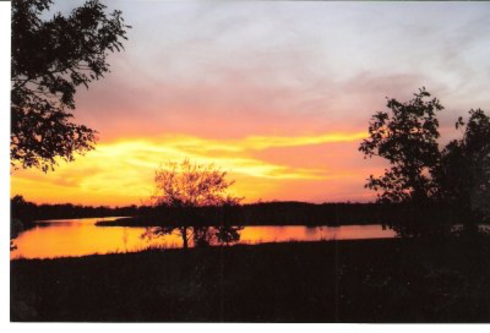 Cabin Fever Campground Victoria Il Campgrounds