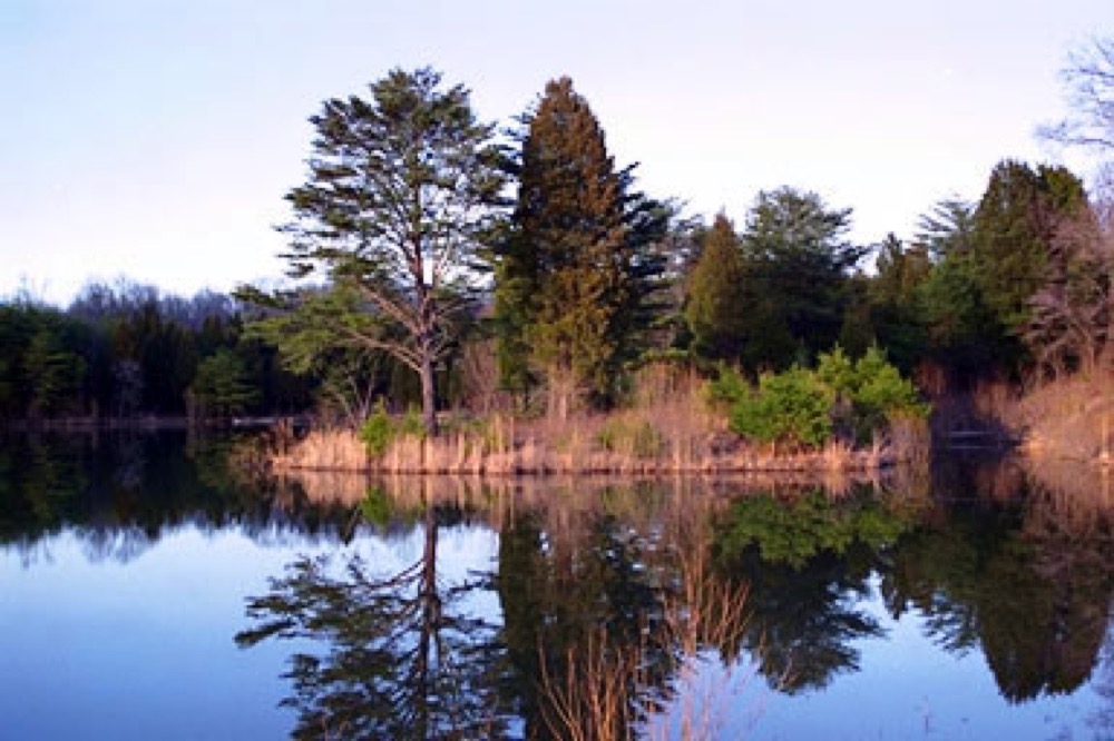 Lake Glendale Oak Point Cmpgrd Golconda Il Campgrounds